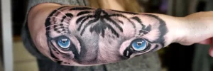 Blackwork realistic Tiger face with blue eyes Tattoo by Timm Myers
